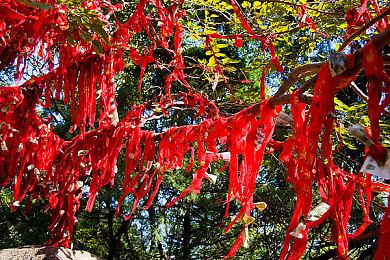 无间断直播互动剧《寂静岭Ascension》2023年上线